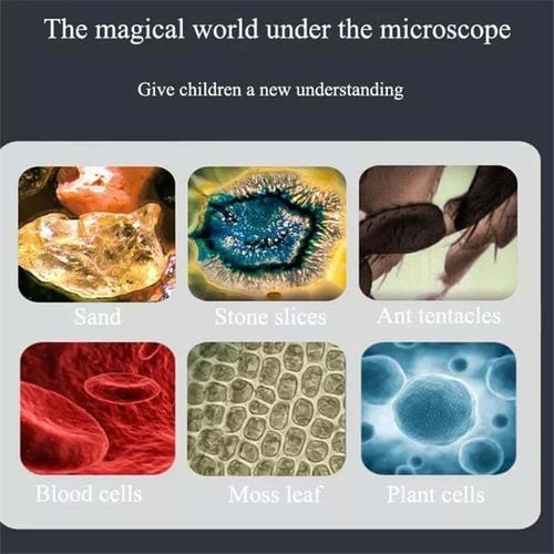 Kid's Portable Pocket Microscope